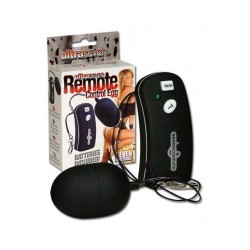 Remote control vibrating black egg