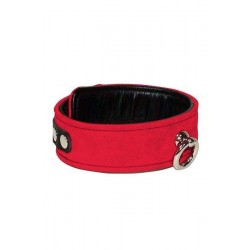 Κόκκινο δερμάτινο κολάρο