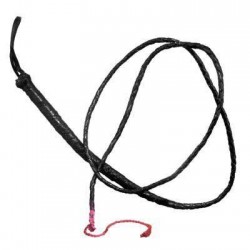 Μακρύ μαστίγιο δερματίνης