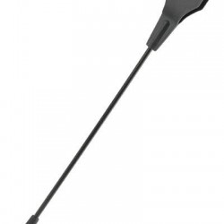 Μικρή βίτσα μαστίγιο