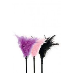 Φτερό για χάδια