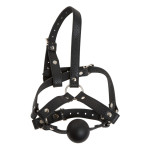 Δερμάτινο harness κεφαλής με φίμωτρο σιλικόνης 